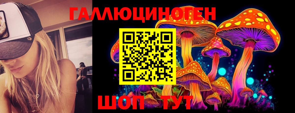 Галлюциногенные грибы Psilocybine cubensis Тверь